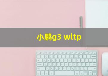 小鹏g3 wltp